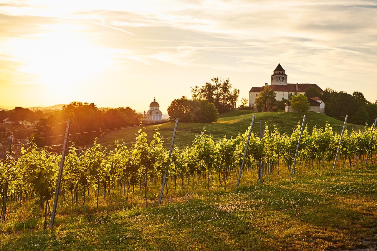 Loisium Wine & Spa Hotel Suedsteiermark Ehrenhausen Kültér fotó