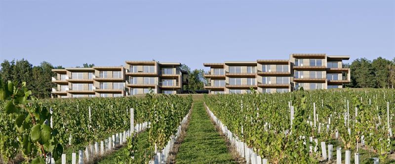 Loisium Wine & Spa Hotel Suedsteiermark Ehrenhausen Kültér fotó